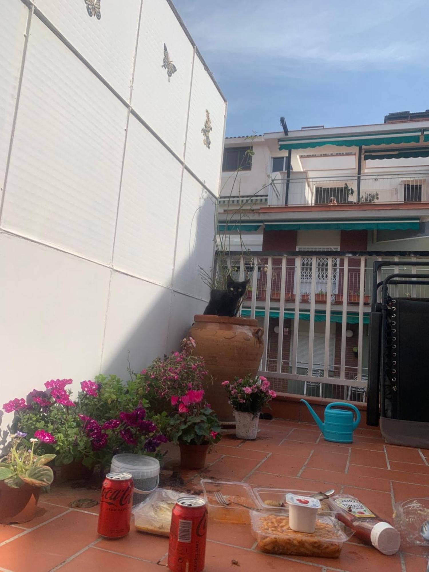 Appartement Atico Con Encanto