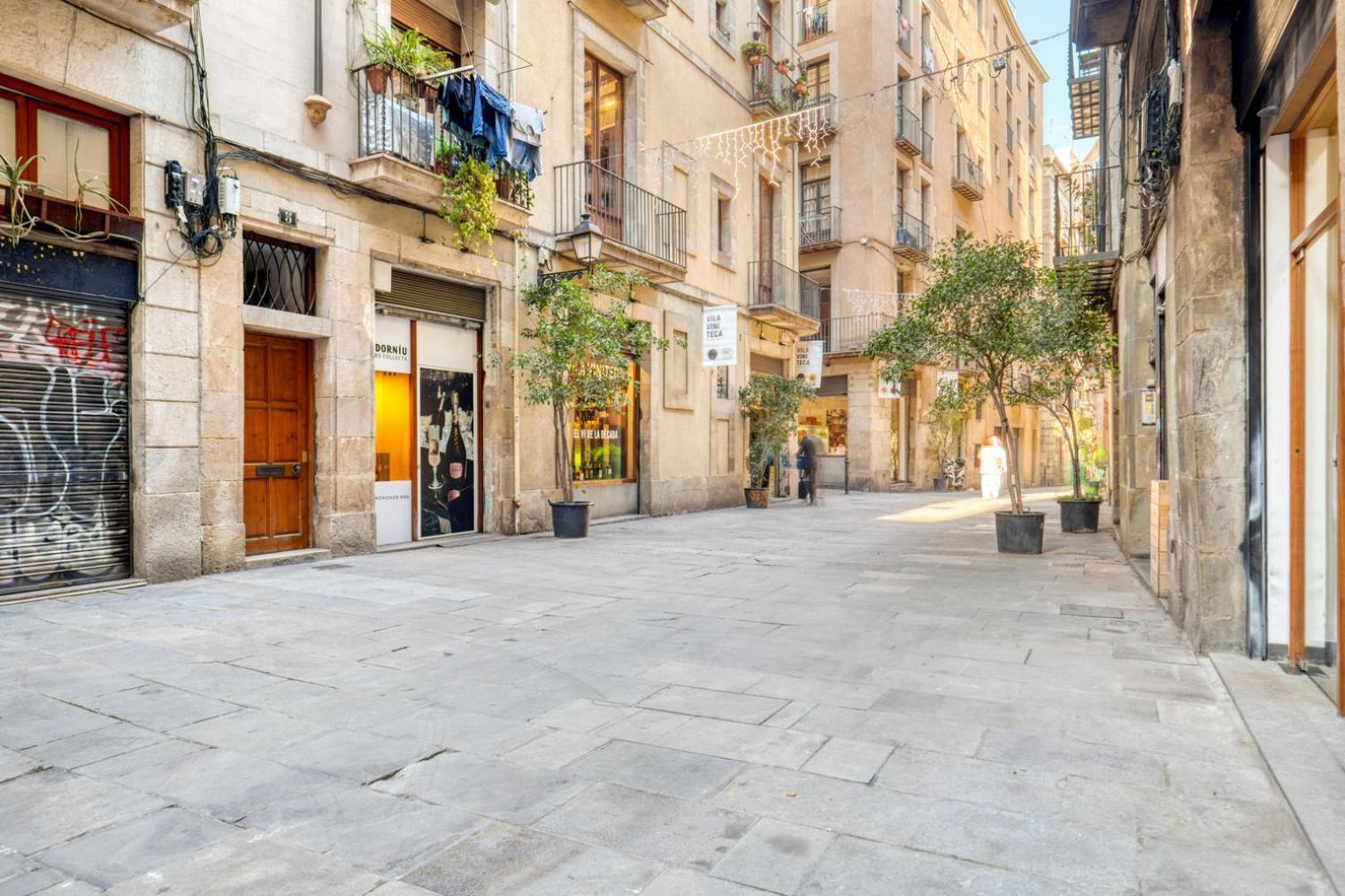 Renovated El Born 2br Nr Port Vell Bcn-62 * Barcelone