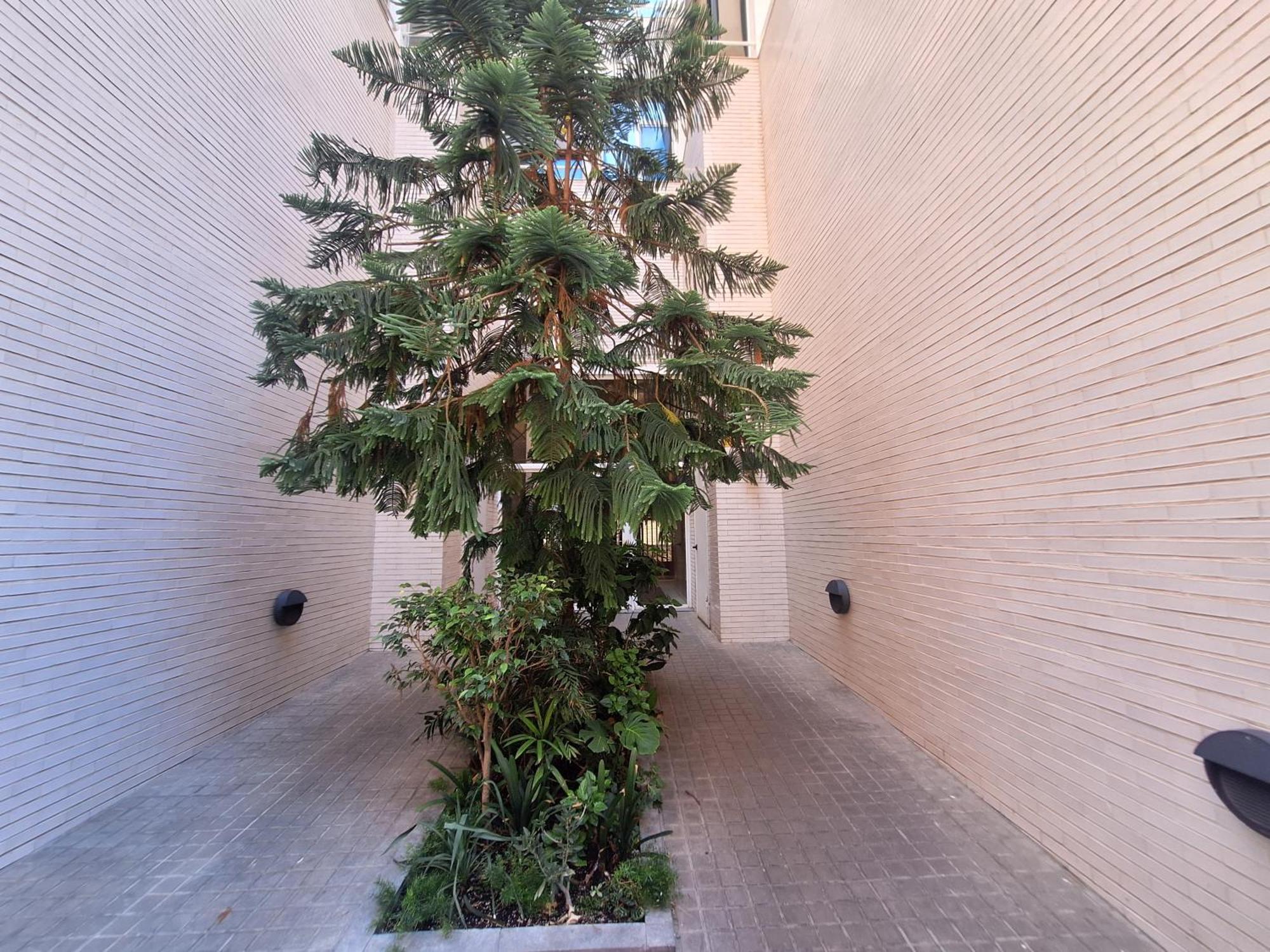 Piso Centro Duplex Y Con Gran Terraza Appartement *