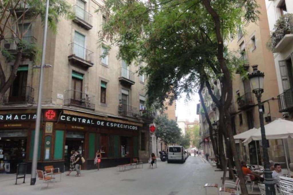El Born - Spacious 2 Bedrooms Appartement *