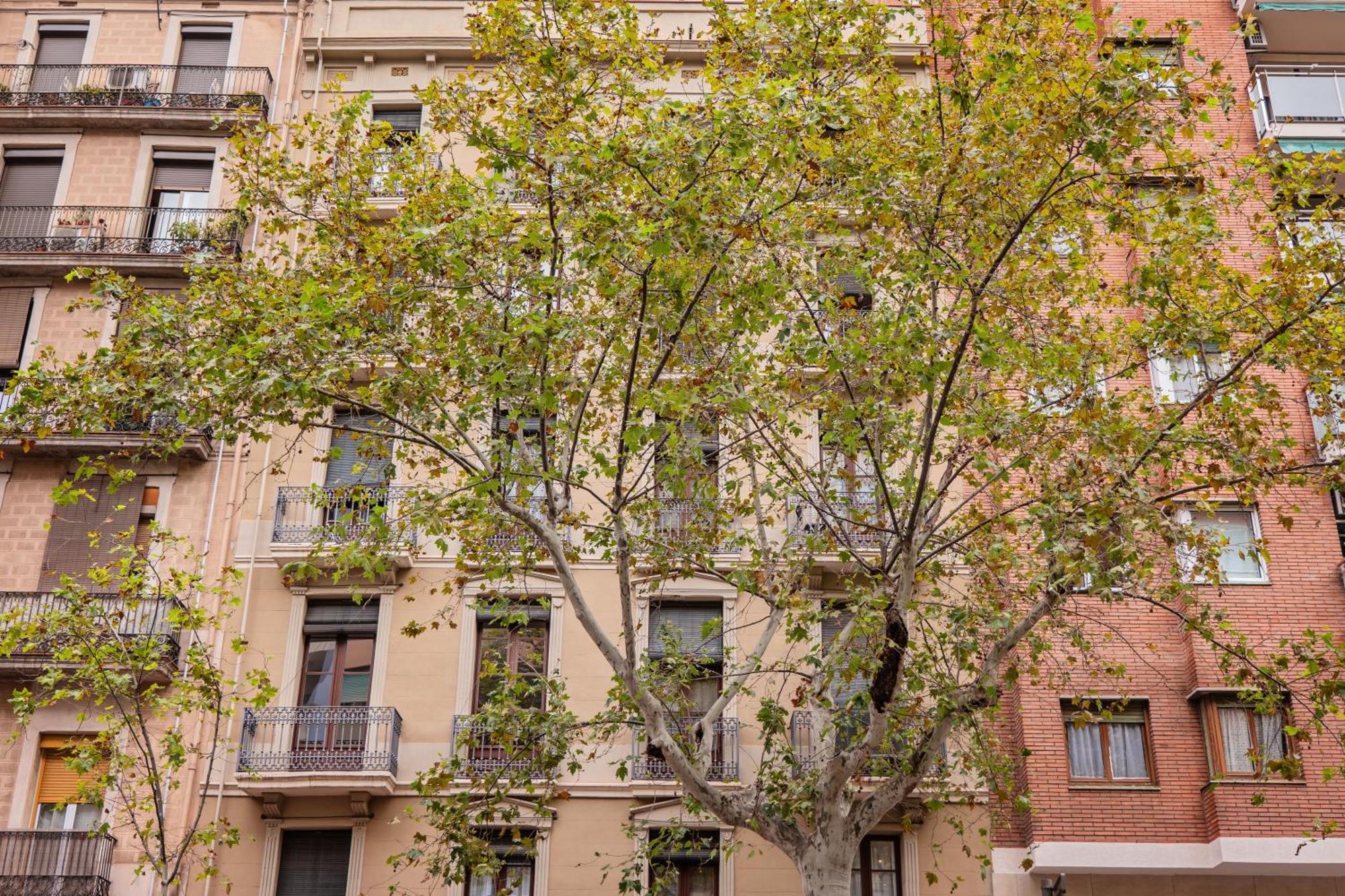 Sweett - Urgell Eixample * Barcelone