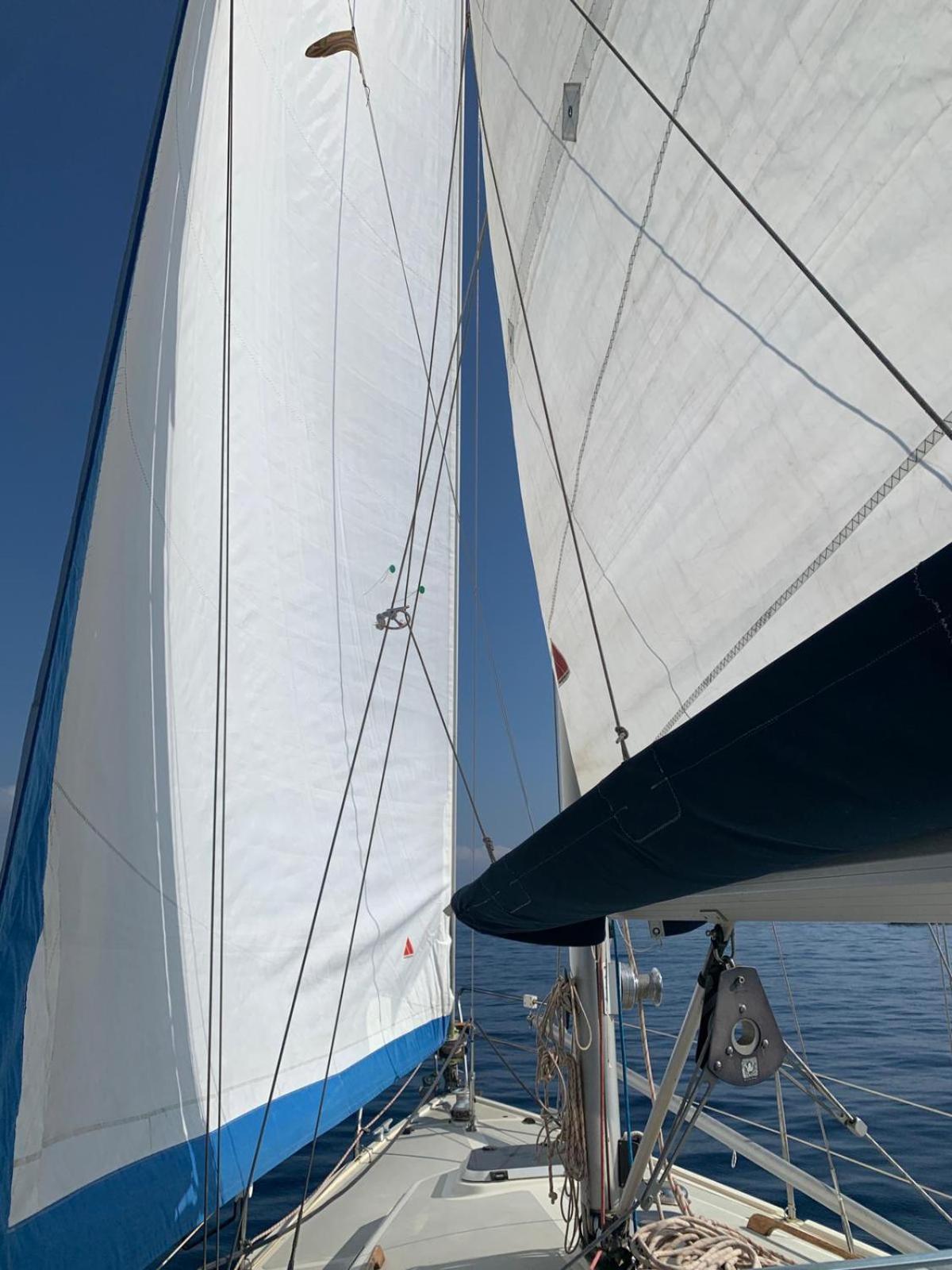 Botel Sailing&stay - A Night Onboard With Your Sailing Experience *