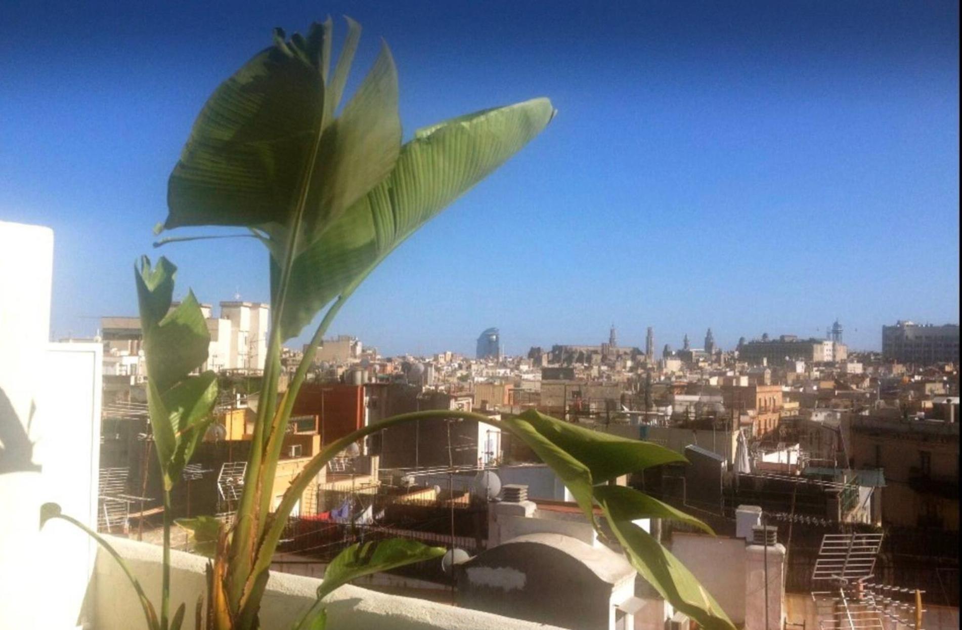 Outdoor Bathtub! 360 Rooftop With Chill Out And Amazing Views! Appartement Barcelone