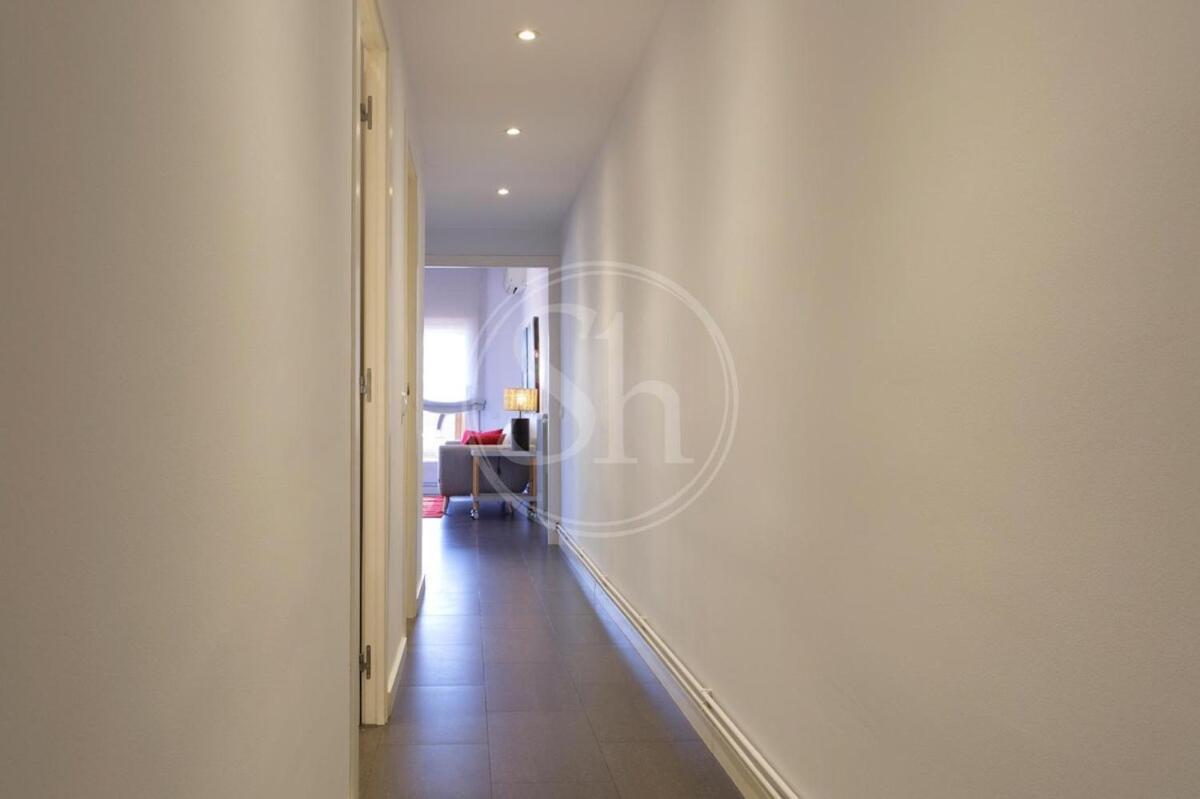 Amplio En Appartement