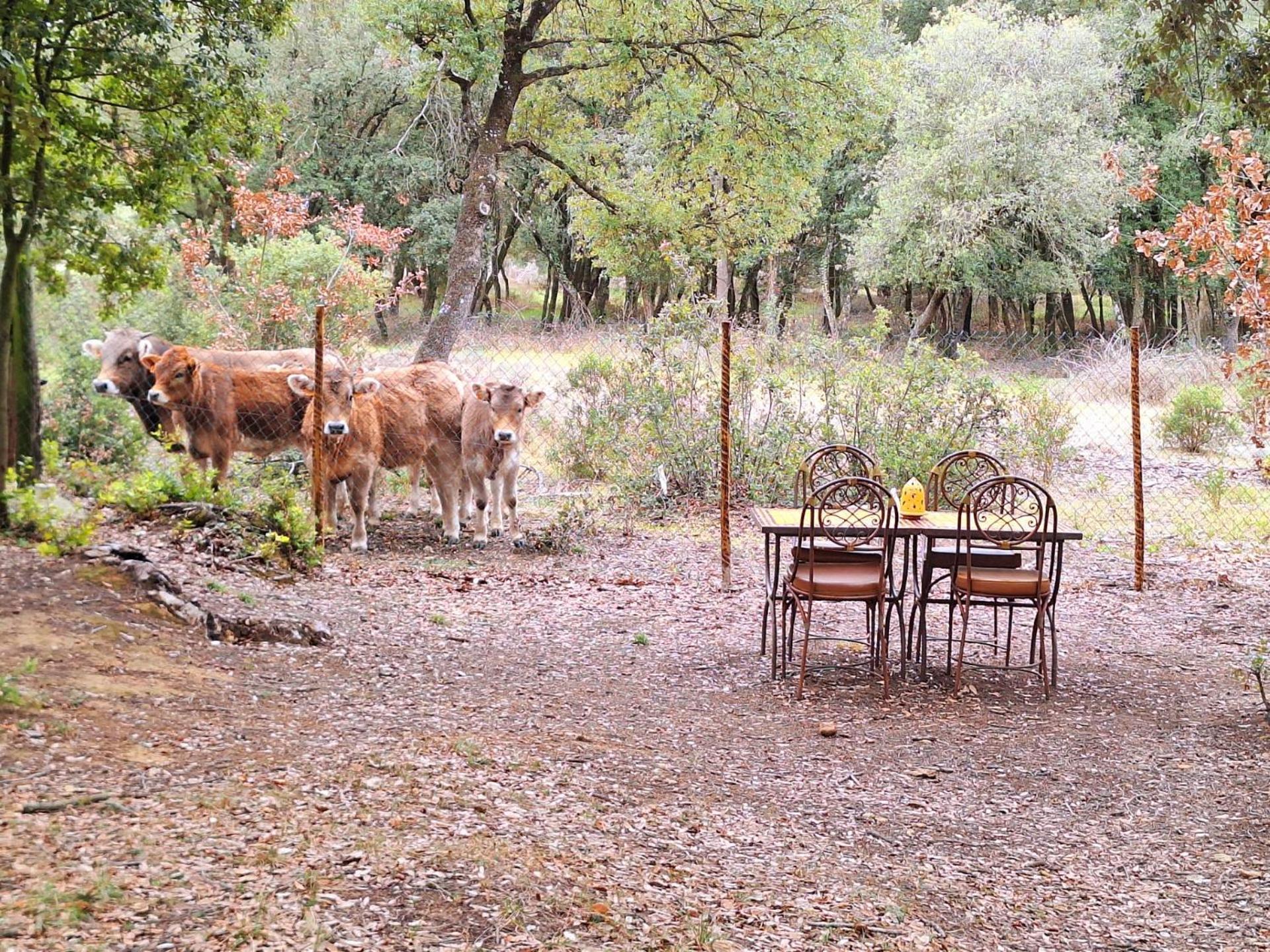 Casa Natura Montseny Chalet Barcelona