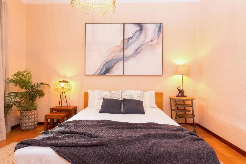 Canela Homes Industria Appartement