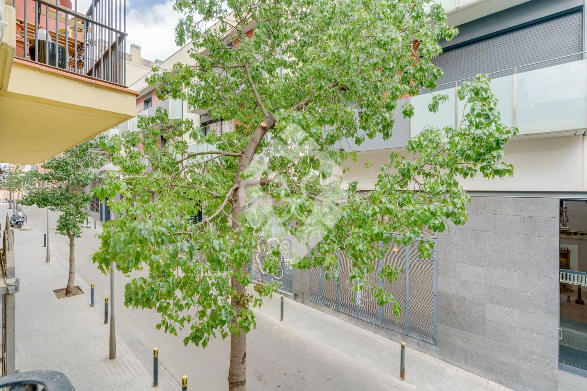 Apartamento Piso Ideal Con 3 3 Banos Y Terraza *