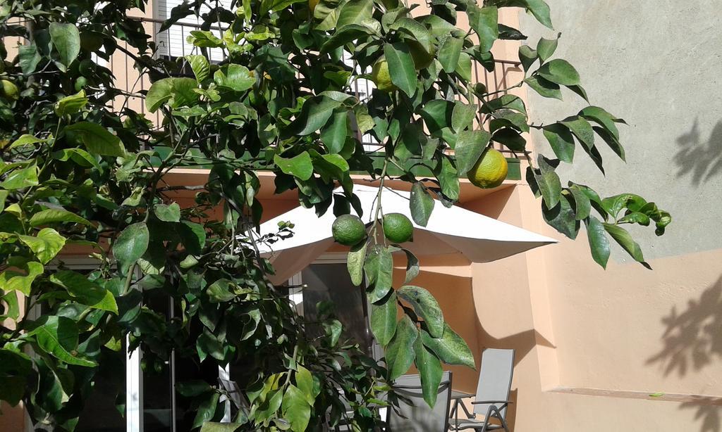 Vakantiehuis Splendid Park Gueell Barcelona
