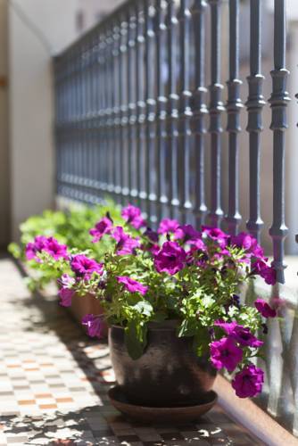 Appartement Sibsbcn- Rambla- Family Friends Business *