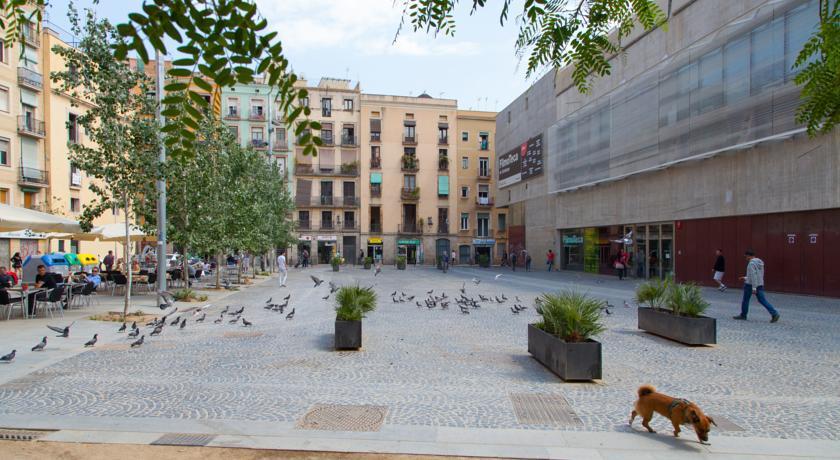 Ramblas Liceu Appartement