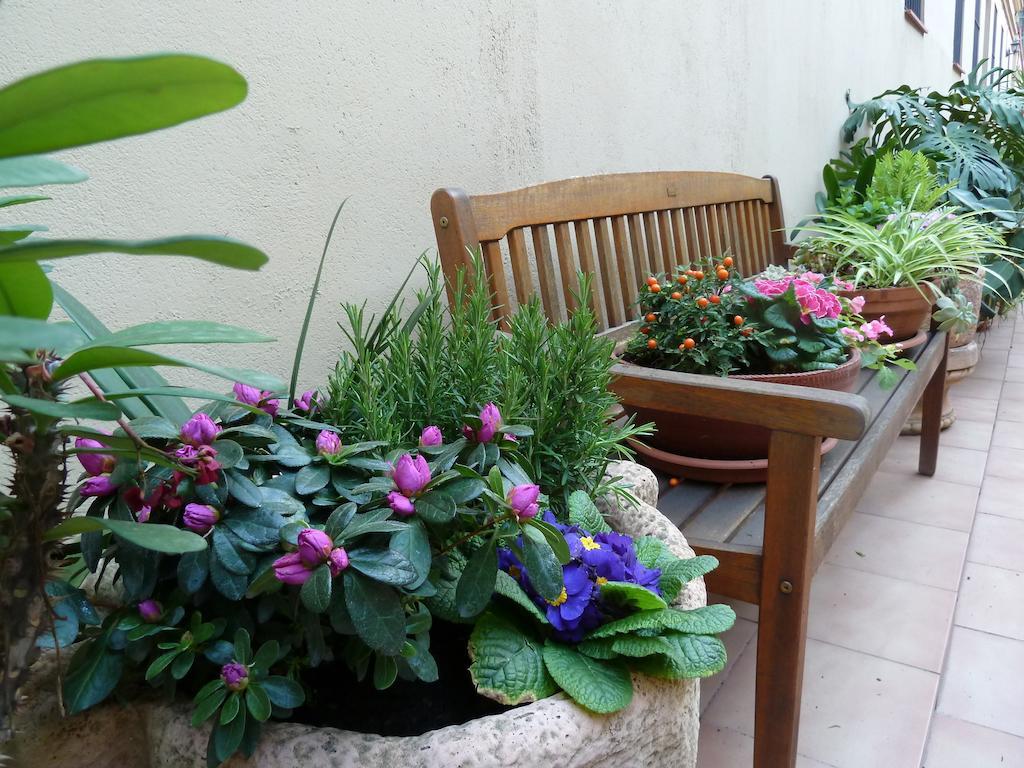 Apartment The Patio