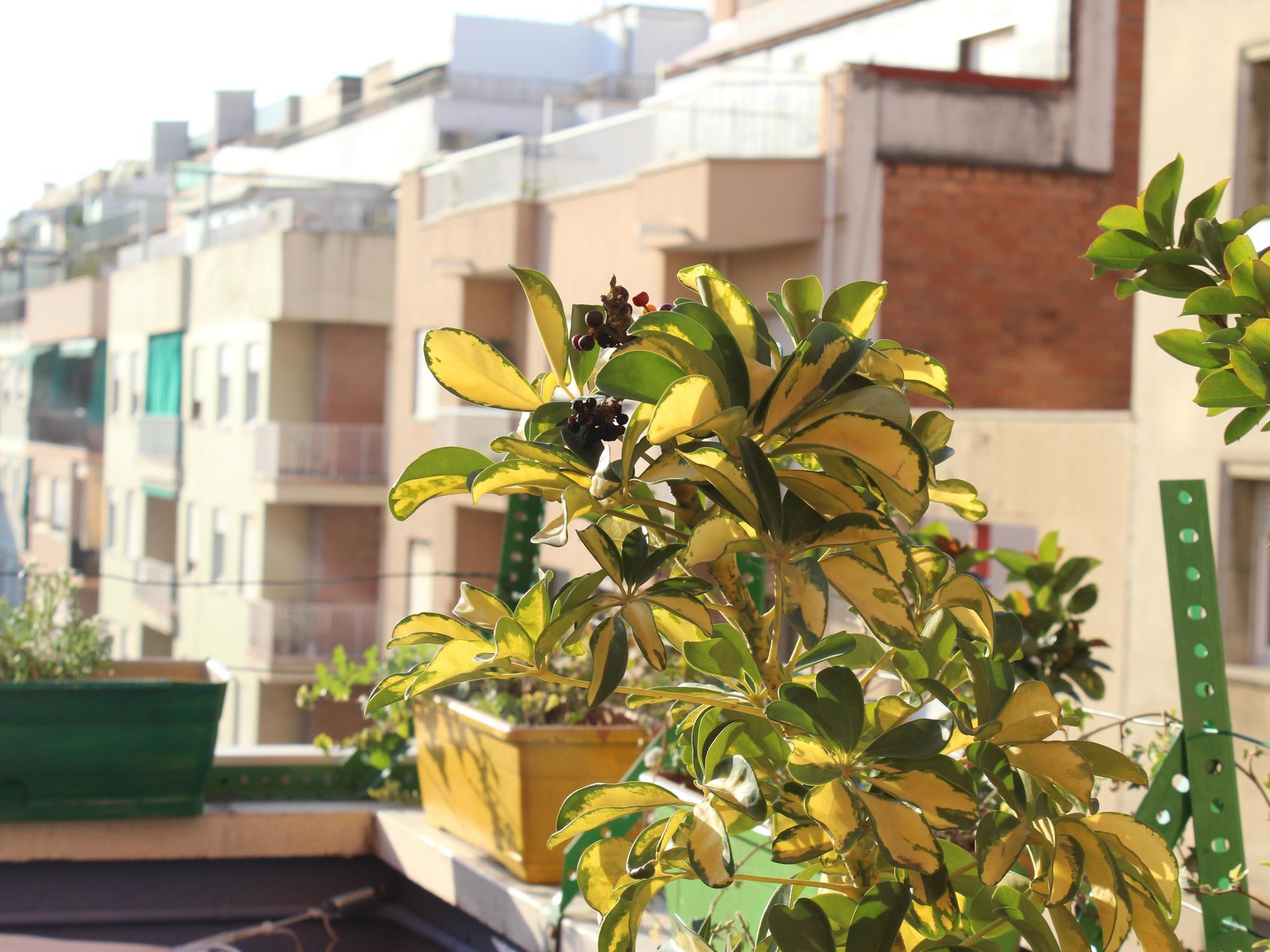 One Sants Auberge de jeunesse Barcelone