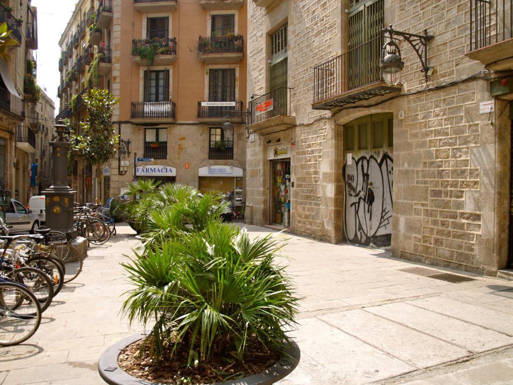 Nitzs Bcn Barcelona
