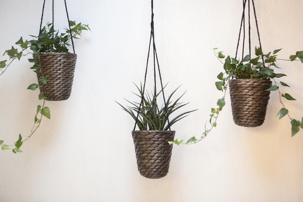 Eco Boutique Grau Barcelone