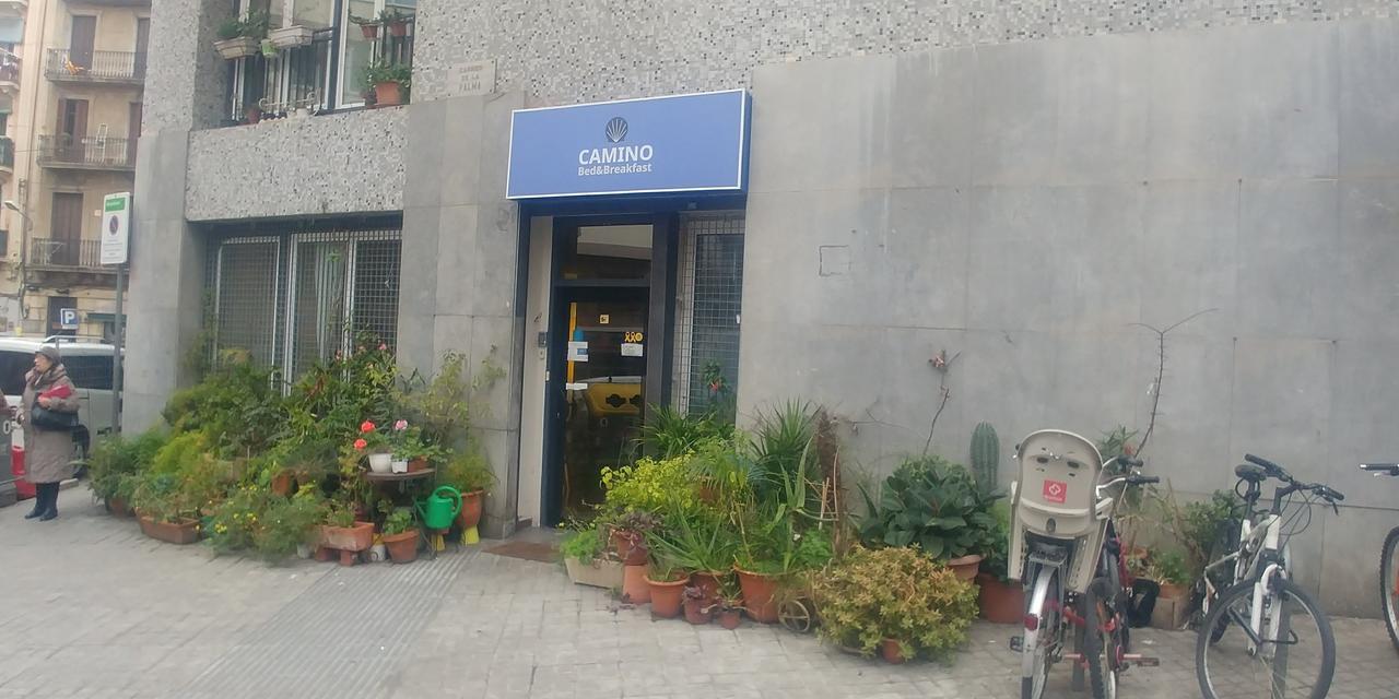 Auberge de jeunesse Camino