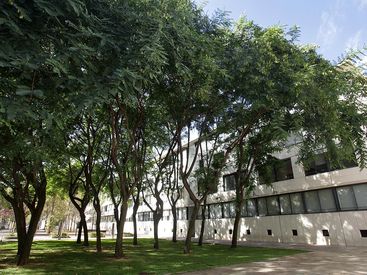 Appartement Olimpica Pamplona By Interhome *