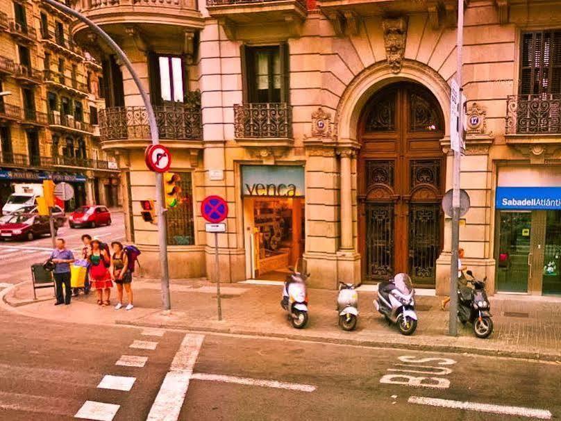 Alternative Creative Youth Hostal *
