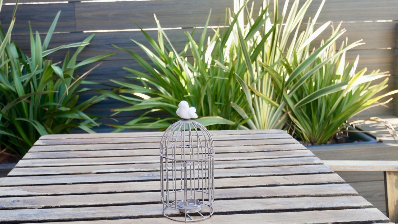 Auberge de jeunesse Bird House Barcelone