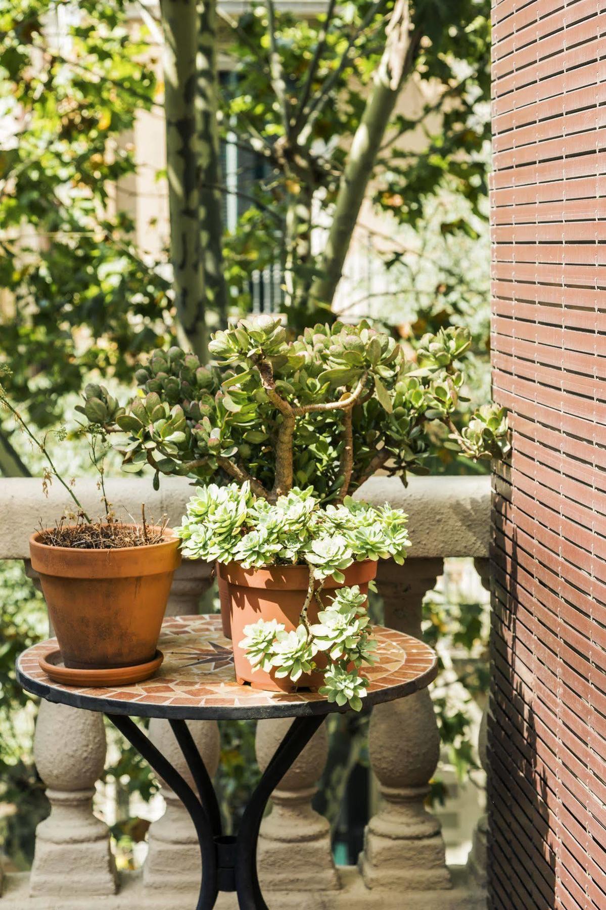 Frühstückspension La Casa Gran 3*