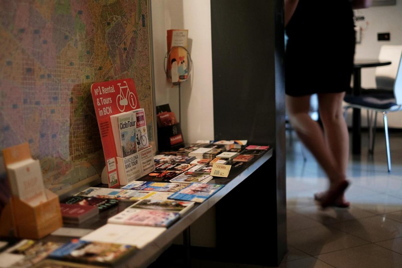 Alternative Creative Youth Hostal