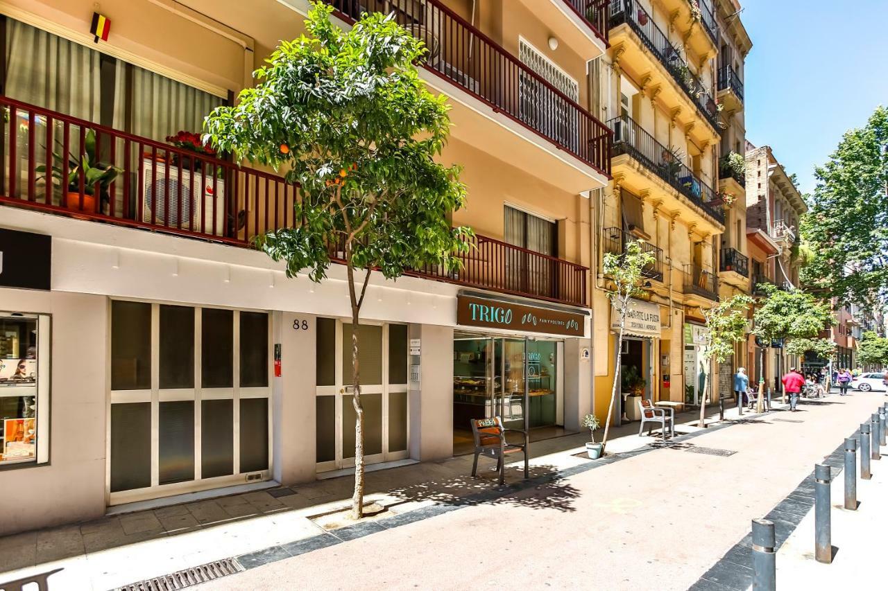 Basic Platja