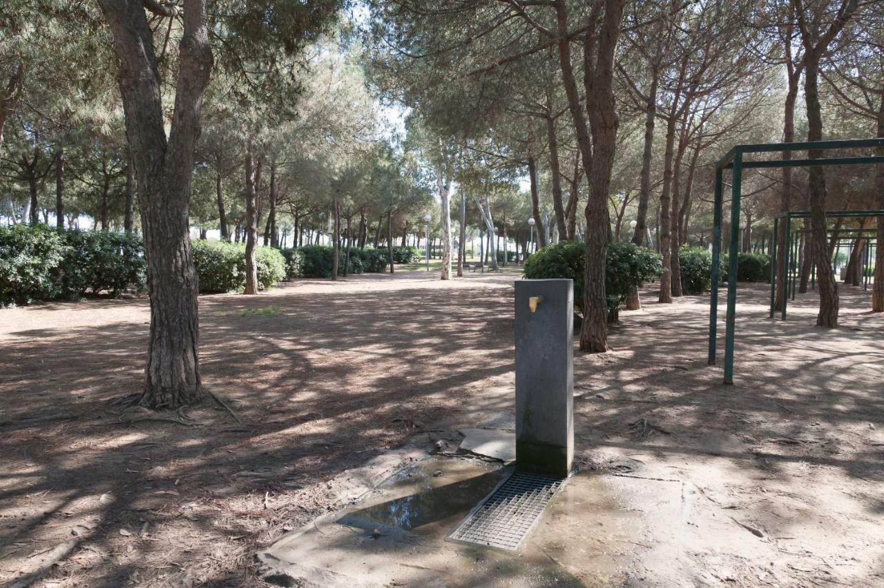 Apartamento Basic Platja