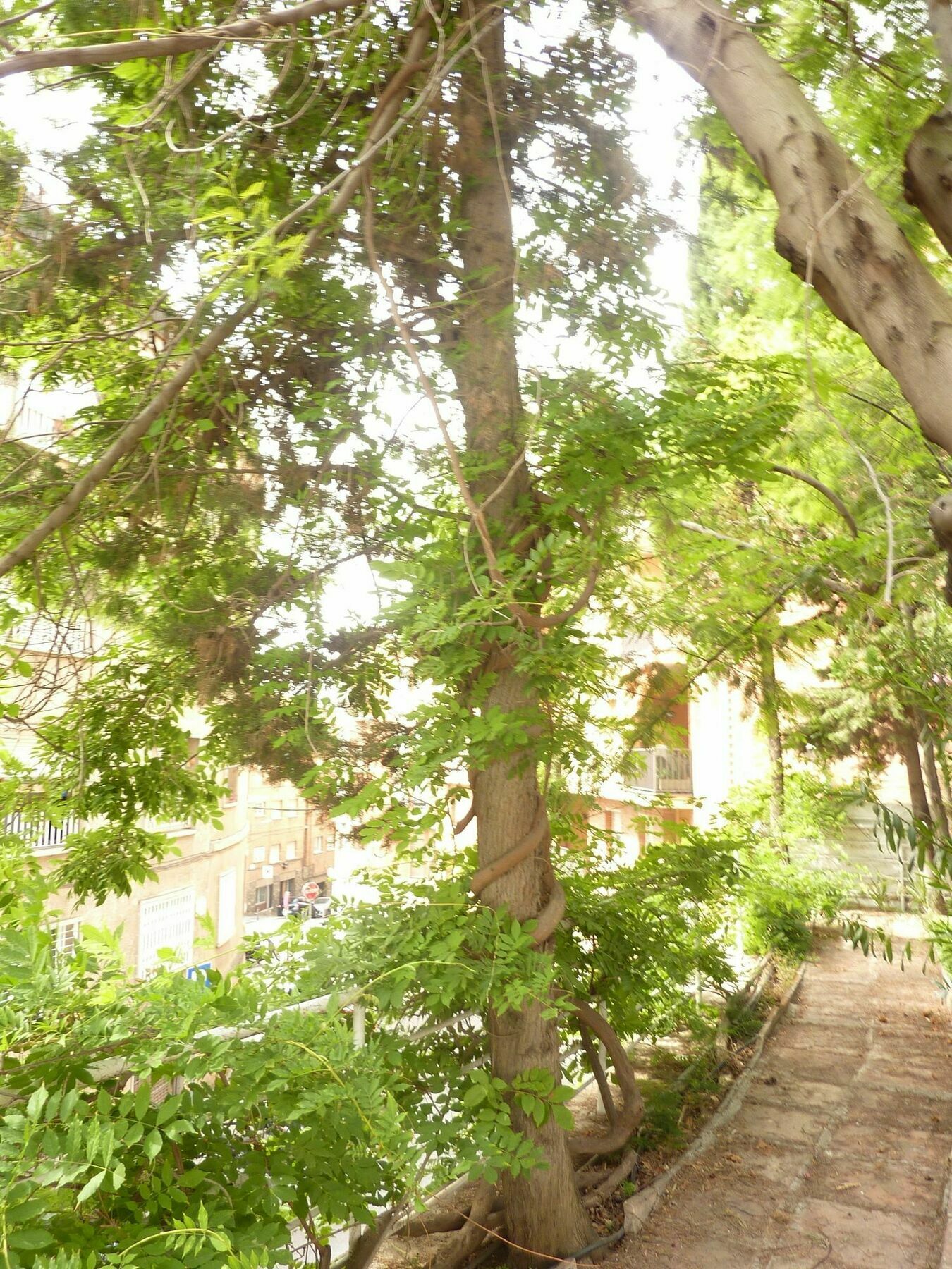 Casa Vilaro Hotel Barcelona