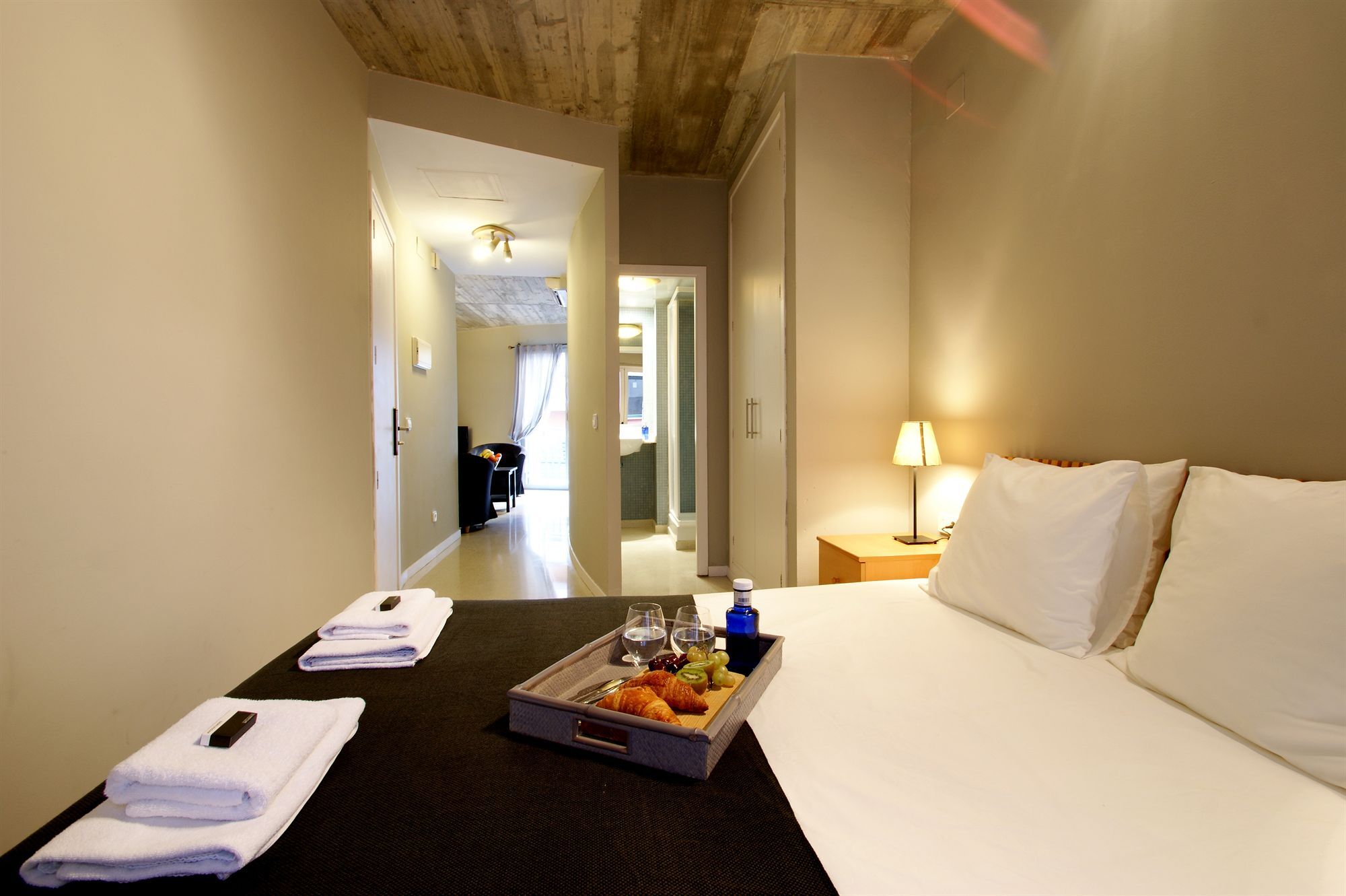 Borne Lofts Apartment