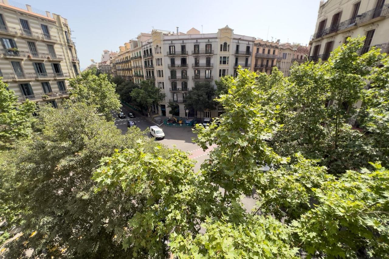 Coimpact Coliving Mallorca Auberge de jeunesse