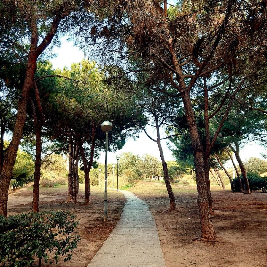 Confort En Playa, 3 Drm Barcelona