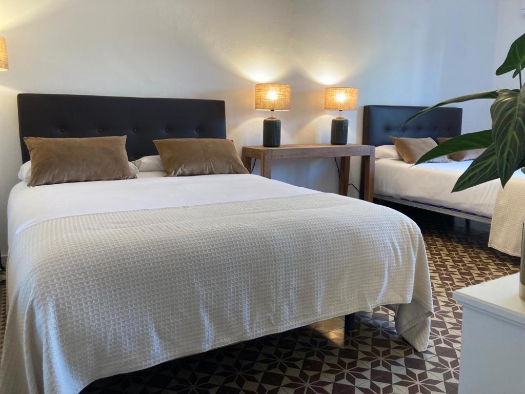 Barri Gotic Hostel