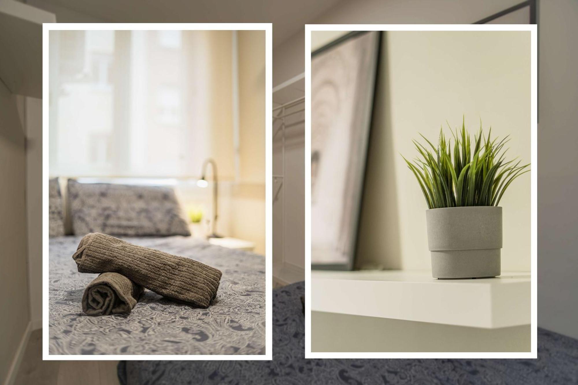 Apartment Poeta