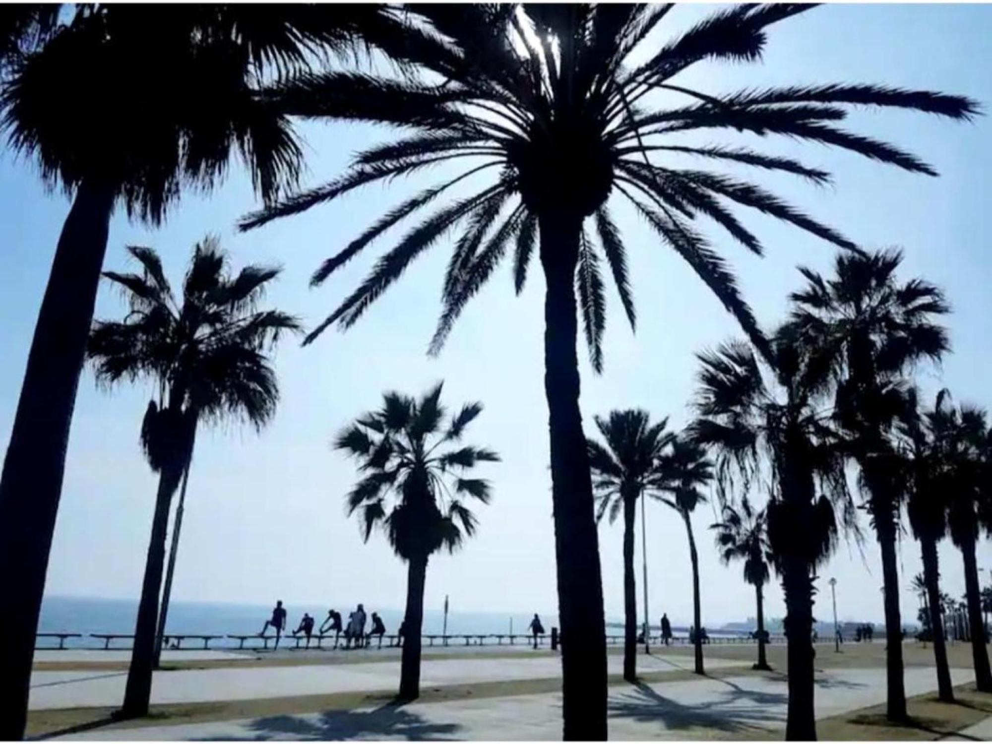 Apartment Comfort Playa Poblenou Barcelona