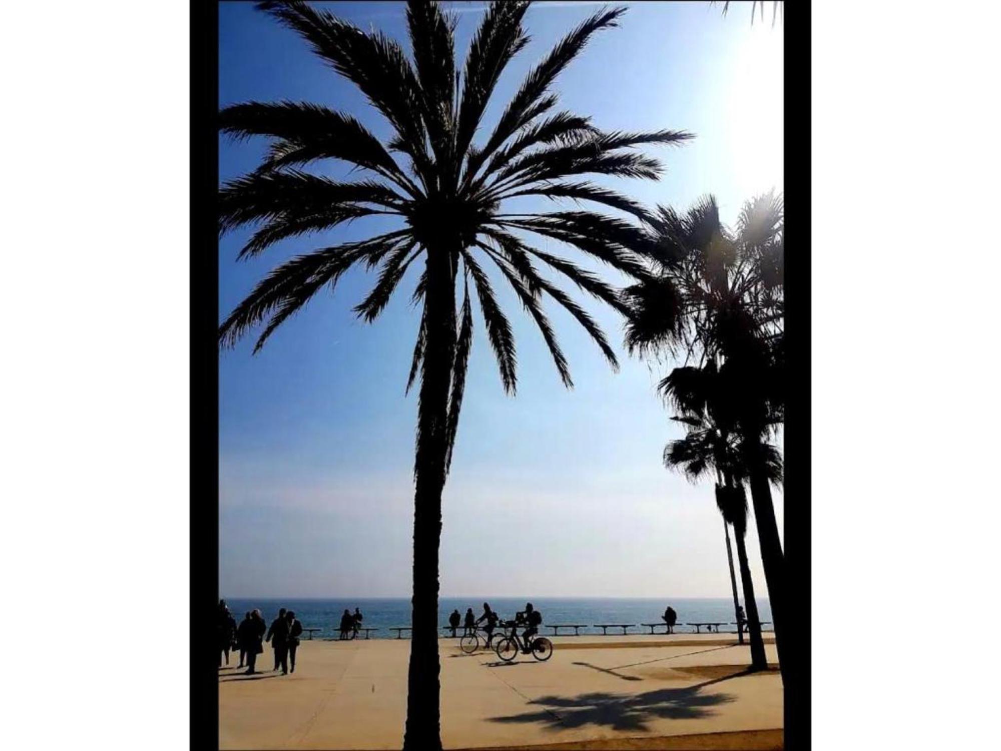 Comfort Playa Poblenou Apartment