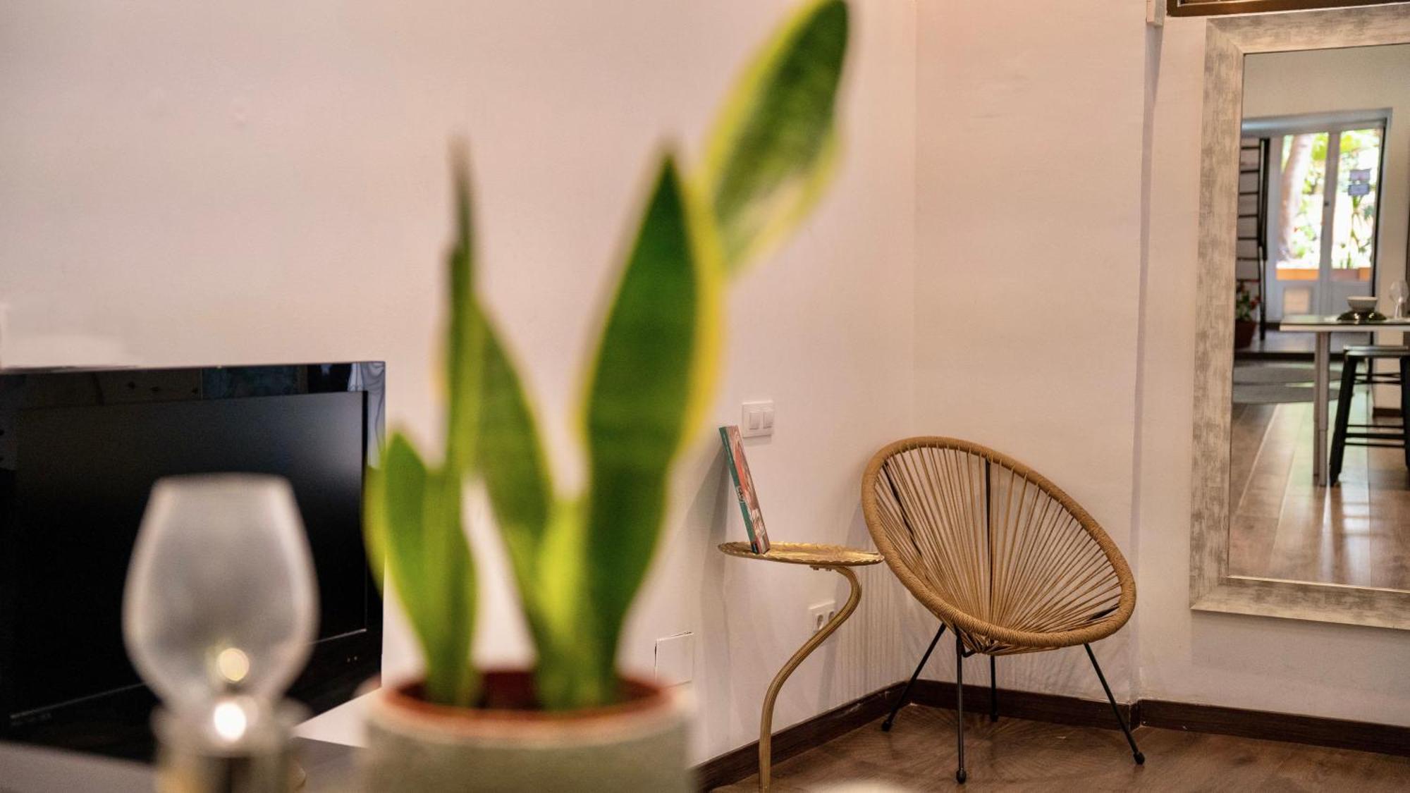Apartment Next To Park Guell *
