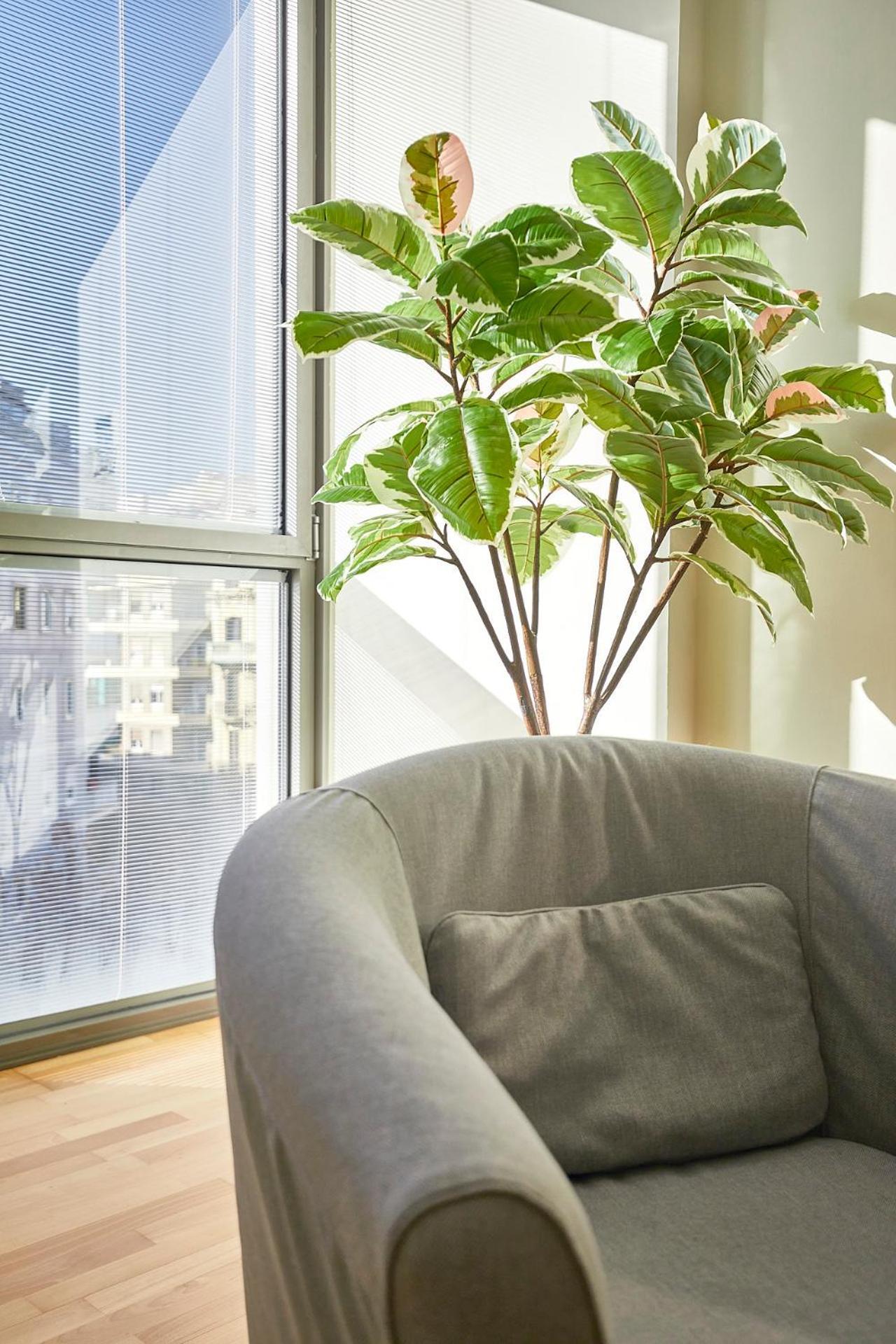 Bbarcelona Placa Universitat Flat * Barcelone