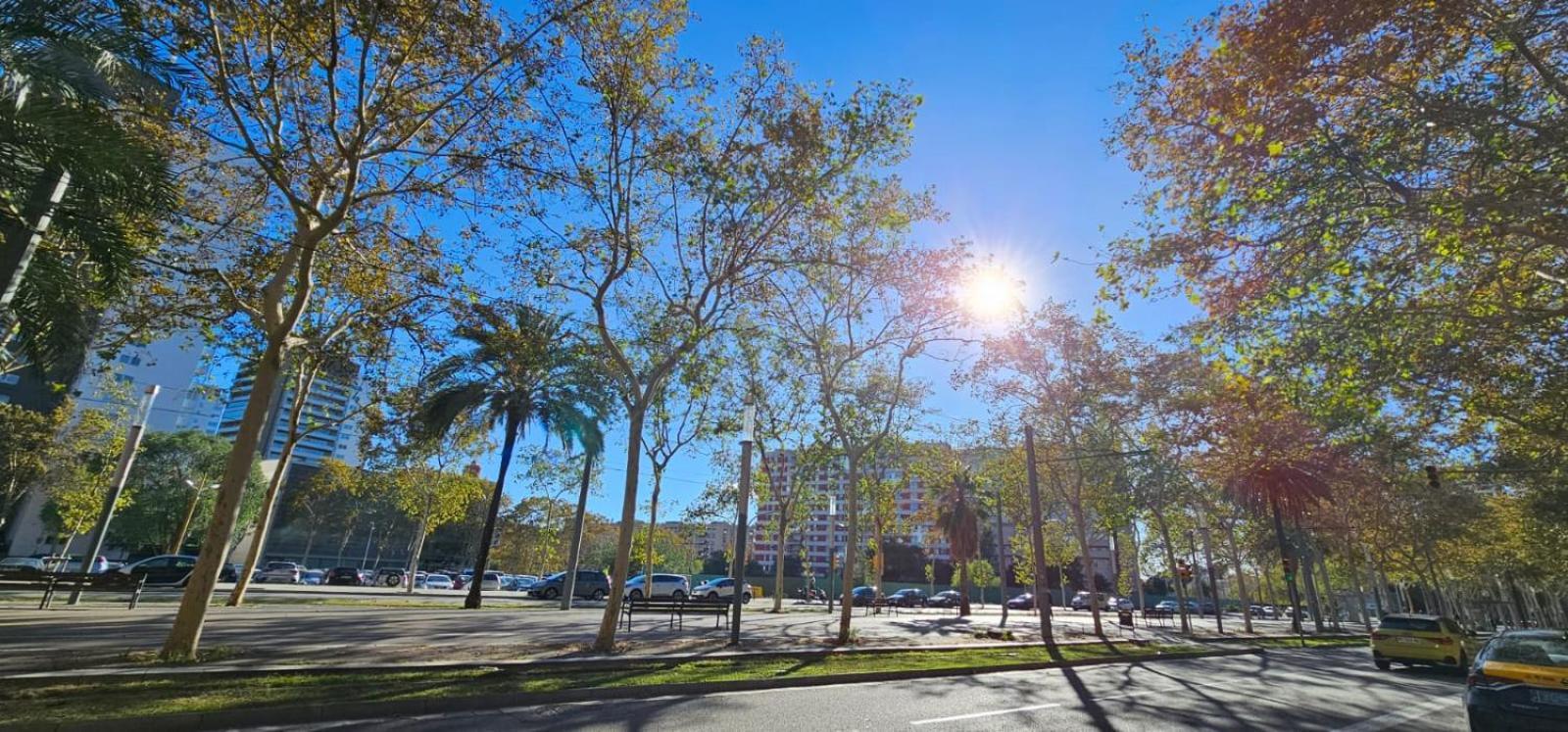 Apartamento 8 Min Walk To The & 10 Min Walk To Convention Centre ! *