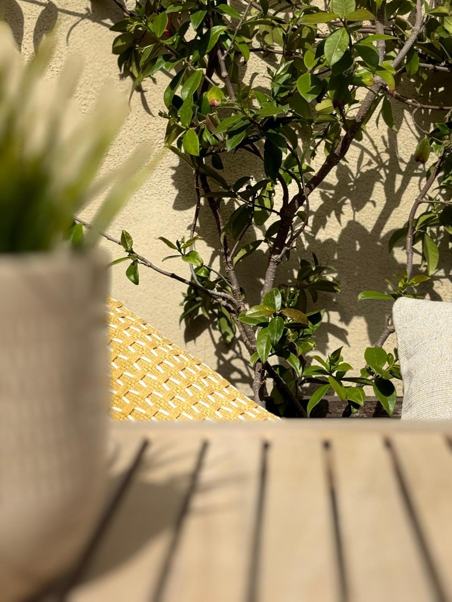 Modernist Gem Penthouse Appartement Barcelone