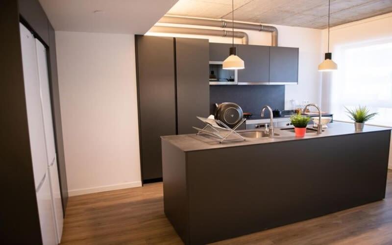 For Students Studying In Only - Stunning Spacious And Private At Pallars Student *