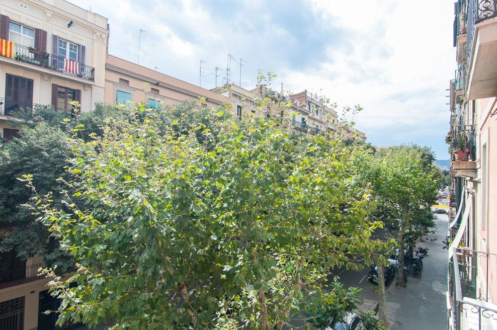 Trivao Sant Antoni Market * Barcelone