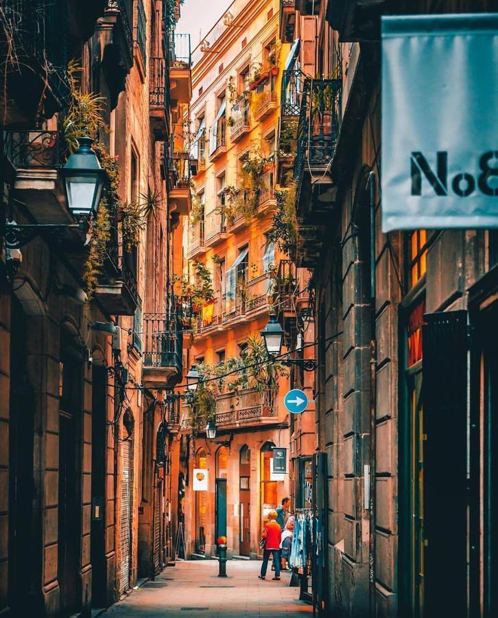 Cozy Near Sagrada Familia Appartement