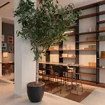 Hotel Curious By Alegria