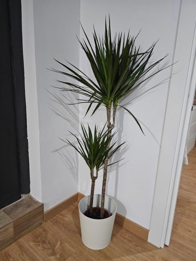 Apartment Permar Plz *