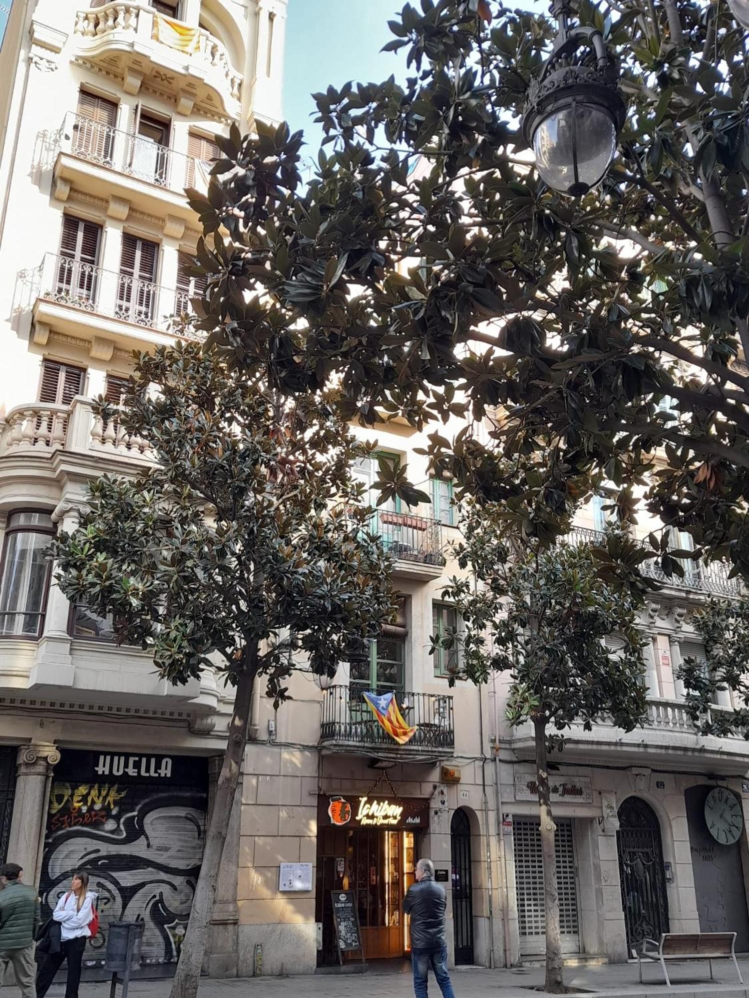 La Casa De Laura Nisia Frühstückspension Barcelona