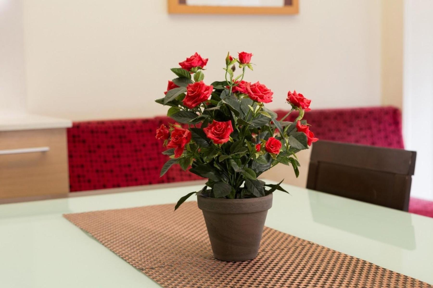 Apartment Fuer 6 Personen Ca 85 Qm In Barcelona-ciutat Vella, Costa Brava Costa Del Maresme Barcelona