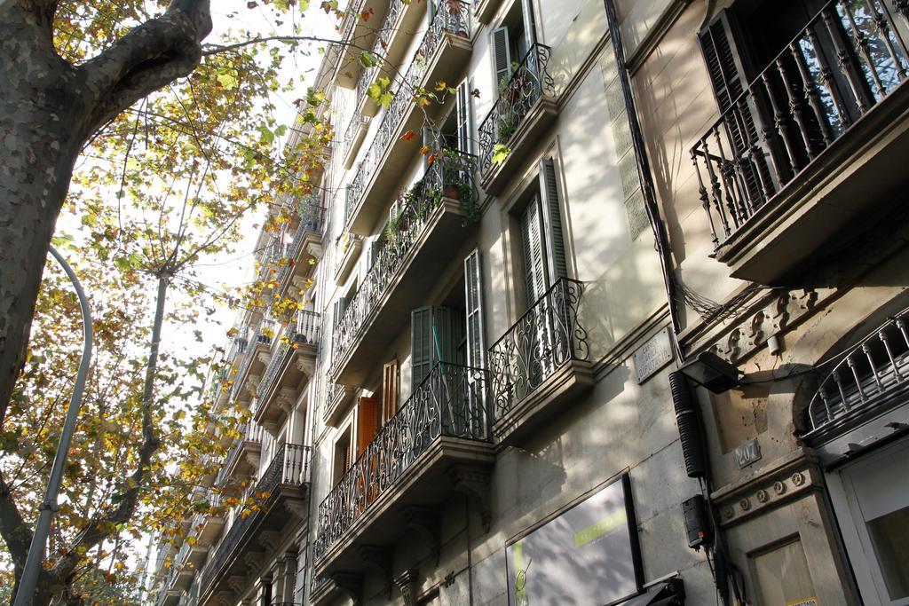 Apartment Luxury